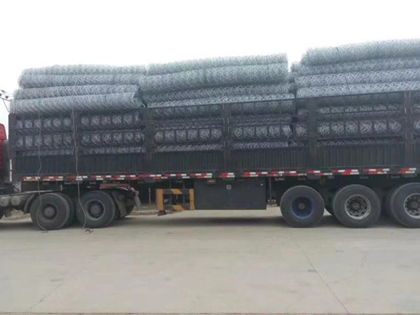 荷蘭網發貨