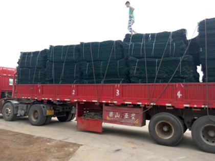 荷蘭網發貨
