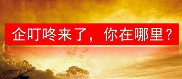 企叮咚會員怎么收費？