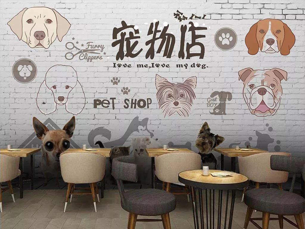 【企叮咚科技平臺營銷策略】寵物店節日營銷這么玩兒，輕松提升業績！