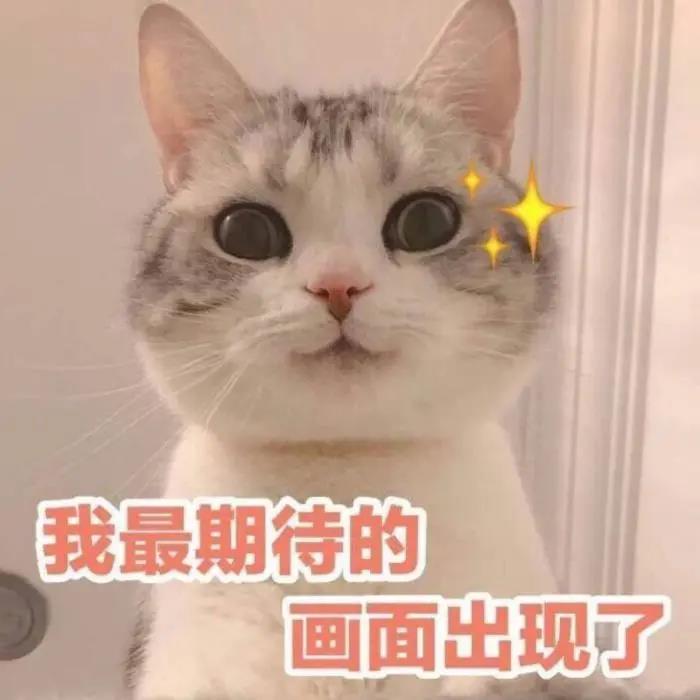 期待.jpg
