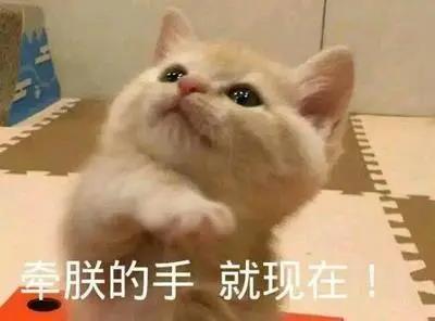 牽手.jpg