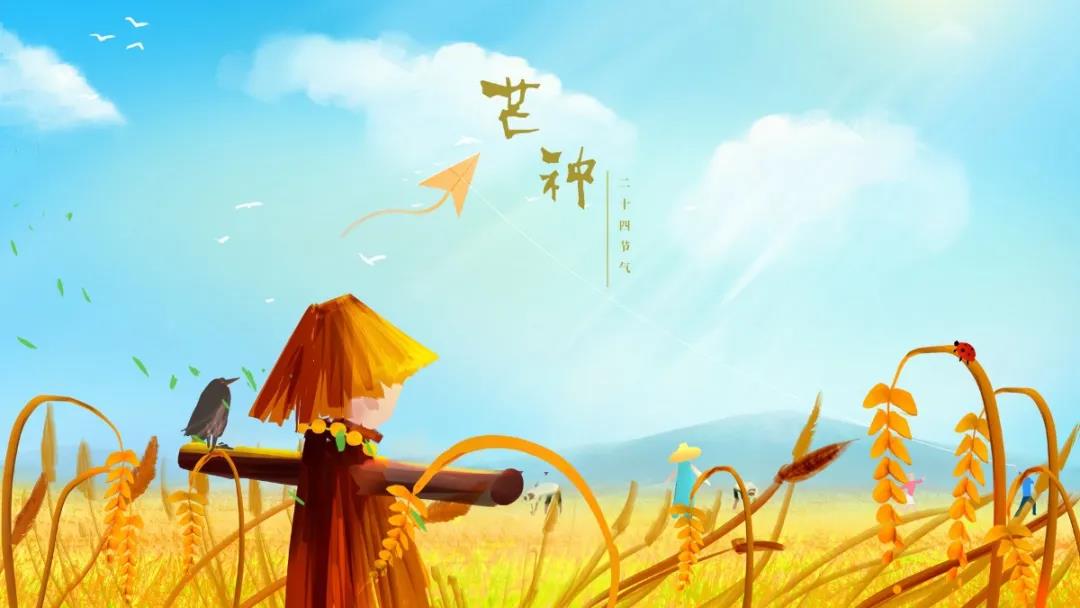 芒種.jpg