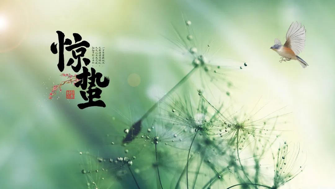 驚蟄.jpg