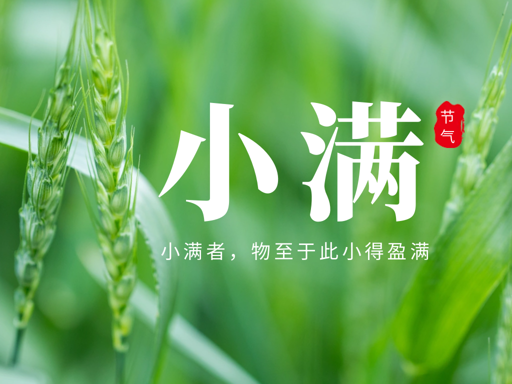 5月營銷9.png